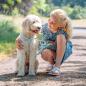 Preview: Step-in-Geschirr für Hunde - Nobby Hundegeschirr Nylon Soft Grip