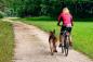Preview: Abstandhalter Hund Fahrrad