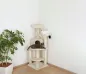 Preview: Kerbl Eckkratzbaum Zirkonia - Katzen Kratzbaum für die Zimmerecke, beige, 130 cm