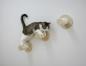 Preview: Trittstufe, Katzenstufe Wandpark