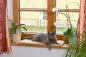 Preview: Kerbl Fensterliegekissen für Katzen selbstwärmend - Katzenbett für Fensterbank 60 x 26 x 2 cm, waschbarer Bezug