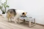 Preview: Futterbar erhöht Lifter für kleine und mittelgroße Hunde - Hundebar inkl 2 Edelstahlnäpfe Made in Italy