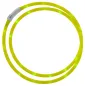 Preview: Halsring LED für Pferde 10mm x 150 cm gelb - Leuchthalsband fürPferde USB-C-Akku, Sichtbarkeit bis 500 m