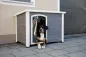 Preview: Hundehütte Outdoor - Hundehütte Kenny, wetterfest mit Lamellenvorhang, grau
