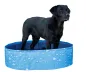 Preview: Hundepool Bubble - Planschbecken für Hunde, ideale Abkühlung für heiße Tage, kann flexibel aufgebaut werden ( auch eckig )