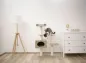 Preview: Kratzbaum Emmy - Höhe 111 cm Katzenbaum mit Katzenhöhle, beige, für Katzen und Kitten