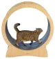 Preview: Katzenlaufrad - Laufrad für Katzen Lauffläche 30 cm, ⌀ 90 cm