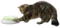 Preview: Katzenspielzeug Pompom - elektronisches Katzenspielzeug mit rotierender Feder