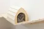 Preview: Kletterwand für Nager und Katzen - Kleintier Wand Parcours Sidewalk / Catwalk 6-teilig - Kaninchen, Frettchen, Kaninchen und Katzen Wandmontage