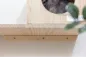 Preview: Kletterwand für Nager und Katzen - Kleintier Wand Parcours Sidewalk / Catwalk 6-teilig - Kaninchen, Frettchen, Kaninchen und Katzen Wandmontage