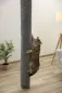 Preview: Klettersack Carpet für Katzen - ideale Alternative zu Kratzbaum deckenhoch, Aufstiegshilfe, Bezug waschbar, grau