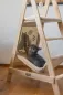 Preview: Designer Kratzbaum Kerbl Ladder 2.0 - Katzenkratzbaum und Katzenleiter in Einem, mit Hängematte und 2 Liegeflächen 104 cm