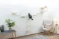 Preview: Kletterwand Monte Falco für Katzen, 6-teilig, beige - Wandkratzbaum beliebig montierbar und erweiterbar