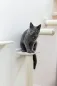 Preview: Kletterwand Monte Falco für Katzen, 6-teilig, beige - Wandkratzbaum beliebig montierbar und erweiterbar