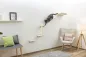 Preview: Kletterwand Monte Prado - 6 teiliger Wandkratzbaum für Katzen mit KLatzenbett, individuelle Montage, erweiterbar