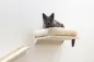 Preview: Kletterwand Monte Prado - 6 teiliger Wandkratzbaum für Katzen mit KLatzenbett, individuelle Montage, erweiterbar