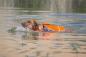 Preview: Knuffelwuff Schwimmweste für Hunder Storm - Hundeschwimmweste und Sicherheitsweste mit Griff, ideal als Tragehilfe