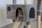 Preview: Kratzbaum Levi Kerbl für Katzen - hoher Katzenbaum 167 cm für kleine bis mittelgroße Katzen, ideal für mehrere Katzen