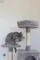 Preview: Kratzbaum Levi Kerbl für Katzen - hoher Katzenbaum 167 cm für kleine bis mittelgroße Katzen, ideal für mehrere Katzen
