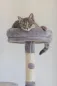 Preview: Kratzbaum Levi Kerbl für Katzen - hoher Katzenbaum 167 cm für kleine bis mittelgroße Katzen, ideal für mehrere Katzen