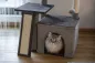 Preview: Katzen-Kratzbaum Rosalie - 76 cm - grau - von Kerbl