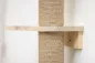 Preview: Wandkratzbaum Timber 19 x 16 x 208 cm, braun - Designer Katzenbaum Echtholz, deckenhoch