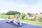 Preview: Kühlmatte für Hunde und Katzen Cool Relax - selbstkühlende Hundematte für den Sommer