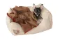 Preview: Kerbl Love You Hundebett für kleine Hunde Chihuahua und Katzenbett inklusive Decke, waschbar
