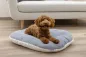 Preview: Hundekissen Zoe oval Cordoptik, ideale Einlage für den Hundekorb oder Hunderbox, waschbar