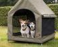 Preview: Hundezelt Knuffelwuff, ideal für Camping, Baggersee etc - Knuffelwuff Outdoor Hundehütte - Metallrahmen, atmungsaktiv