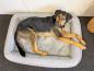 Preview: Orthopädisches Hundebett eckig Petlando Lima Ortho grau - Gesundheitsbett für Hunde, Bezug abnehmbar
