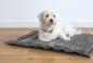 Preview: Reisedecke Hund grau - Petlando Travelmat Columbia anthrazit, waschbar - Reisebett -  Reisematte