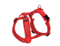 Preview: Petlando Geschirr Mesh Y-Comfort Brustgeschirr für Hunde - Hundegeschirr