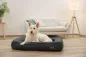 Preview: Orthopädisches Hundebett Platin Ortho eckig, grau - Hundekissen mit Rand, Bezug abnehmbar und waschbar mit Wendekissen