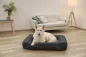 Preview: Orthopädisches Hundebett Platin Ortho eckig, grau - Hundekissen mit Rand, Bezug abnehmbar und waschbar mit Wendekissen