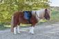 Preview: Ponysattel