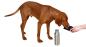 Preview: Trinkflasche und Reisenapf Hunde für unterwegs
