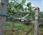 Preview: Handwinde - Seilzug manuell mit Ratsche Hand Power Puller 4 t - Handseilwinde mit 15-facher Hebelwirkung