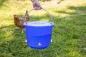 Preview: Geflügel Tränkeeimer - Geflügeltränke 12 Liter, blau / transparent, 4 Nippel zum Hinstellen