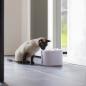Preview: Trinkbrunnen Sjors für Katzen und kleine Hunde z.B. Chihuahua - Haustierbrunnen Kunststoff 3 Liter