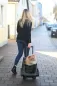Preview: Hundetrolley Vacation 41 x 26 x 55 / 103 cm, grau / blau - Trolley für kleine Hunde - Transporttrolley als Autositz und Hunderucksack nutzbar