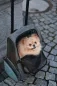 Preview: Hundetrolley Vacation 41 x 26 x 55 / 103 cm, grau / blau - Trolley für kleine Hunde - Transporttrolley als Autositz und Hunderucksack nutzbar