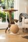 Preview: Kratzball Balty - kleiner Katzen Kratzbaum auch für Kitten - Designed by Lotte