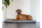 Preview: Hundebett Ito grau