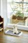 Preview: Welpentoilette Puppy Training - Hundetoilette für kleine Hunde mit Baumimitation