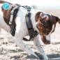 Preview: Petlando Geschirr Mesh Y-Comfort Brustgeschirr für Hunde - Hundegeschirr
