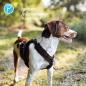 Preview: Petlando Geschirr Mesh Y-Comfort Brustgeschirr für Hunde - Hundegeschirr