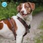 Preview: Petlando Geschirr Mesh Y-Comfort Brustgeschirr für Hunde - Hundegeschirr