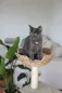 Preview: Katzen Kratzbaum Kerbl Banana Leaf Jade - handgeflochtene Liegefläche und Höhle aus nachhaltigen Bananenblättern