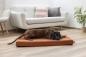Preview: Orthopädische Matratze für Hunde Kerbl Oliver Memory-Foam - Ortho-Hundekissen, Polstermöbelstoff, Bezug waschbar